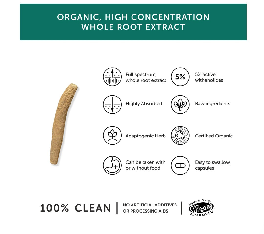 Ashwagandha kosttillskott
Bästa ashwagandha för hälsa
Fullspektrum ashwagandha
Organic ashwagandha
Högkoncentrerat ashwagandha med anolider