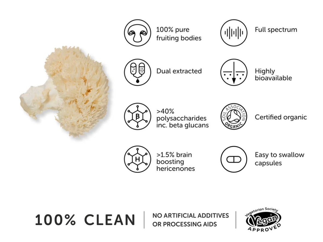 Lions Mane Svamp 9740mg  - Igelkottstaggsvamp kosttillskott