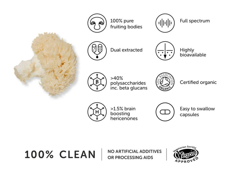 Lions Mane Svamp 9740mg  - Igelkottstaggsvamp kosttillskott